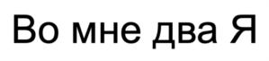 Товарный знак №926556, принадлежит ИП Шевченко Ярослав Игоревич, ОГРНИП 321440000018161, ИНН 441300559101