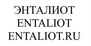 Товарный знак №928203, принадлежит организации ОБЩЕСТВО С ОГРАНИЧЕННОЙ ОТВЕТСТВЕННОСТЬЮ  "ЭНТАЛИОТ", ОГРН 1227700583681, ИНН 9703108678