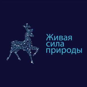 Товарный знак №928872, принадлежит организации Общество с ограниченной ответственностью "Интерс-Рус", ОГРН 1087746448877, ИНН 7708667700