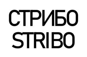 Товарный знак №929495, принадлежит организации ОБЩЕСТВО С ОГРАНИЧЕННОЙ ОТВЕТСТВЕННОСТЬЮ "ВИТА ЛАЙН ГРУПП", ОГРН 1096193004270, ИНН 6161056365