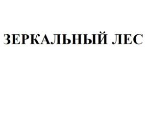 Товарный знак №931826, принадлежит ИП Кашапов Александр Владимирович, ОГРНИП 322774600527428, ИНН 773300159802