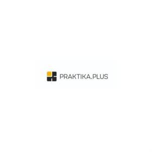 Товарный знак №931908, принадлежит организации Общество с ограниченной ответственностью "ПРАКТИКА ПЛЮС", ОГРН 1197746451253, ИНН 7728481334