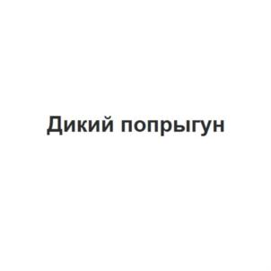 Товарный знак №934200, принадлежит организации Общество с ограниченной ответственностью «БМП Индастриал», ОГРН 1187847207338, ИНН 7814735751