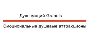 Товарный знак №934237, принадлежит организации Общество с ограниченной ответственностью «Грандис», ОГРН 1176196010583, ИНН 6162074906