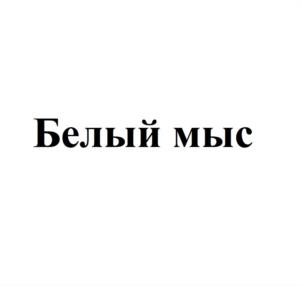 Товарный знак №934732, принадлежит организации Общество с ограниченной ответственностью "БАСТИОН", ОГРН 1207800170930, ИНН 7838093969