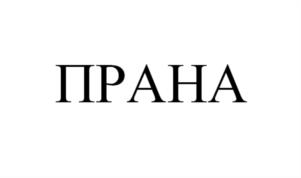 Товарный знак №935095, принадлежит организации Общество с ограниченной ответственностью «ЛАБОРАТОРИЯ «ЖИВАЯ КОСМЕТИКА»-ПРО», ОГРН 1155044002630, ИНН 5044095619