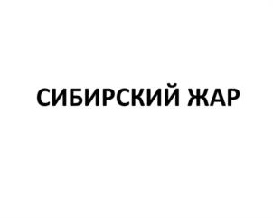 Товарный знак №935242, принадлежит организации ОБЩЕСТВО С ОГРАНИЧЕННОЙ ОТВЕТСТВЕННОСТЬЮ "СИБИРСКИЙ ЖАР", ОГРН 1222400019445, ИНН 2466292271