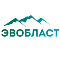 Товарный знак №935394, принадлежит организации Общество с ограниченной ответственностью «ЭВОБЛАСТ», ОГРН 1227700232704, ИНН 7727491876