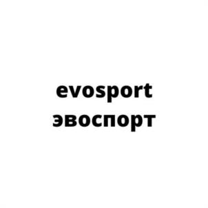 Товарный знак №936179, принадлежит организации Общество с ограниченной ответственностью "ЭВОСПОРТ", ОГРН 1215000116320, ИНН 5024217682