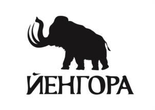 Товарный знак №936582, принадлежит организации Общество с ограниченной ответственностью «ЙЕНГОРА», ОГРН 1224600005080, ИНН 4615007801