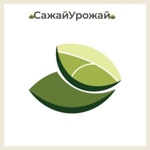 Товарный знак №937808, принадлежит ИП Васляев Михаил Михайлович, ОГРНИП 317527500002083, ИНН 525913764428