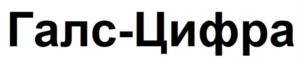 Товарный знак №938037, принадлежит организации Общество с ограниченной ответственностью "Галс-Цифра", ОГРН 1227700251503, ИНН 7714484945