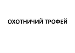 Товарный знак №938853, принадлежит ИП Сунцов Алексей Юрьевич, ОГРНИП 319745600022672, ИНН 741505912735