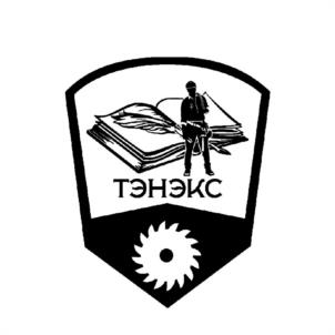 Товарный знак №939064, принадлежит организации Общество с ограниченной ответственностью учебно-консультационный центр "ТЕПЛОЭНЕРГЕТИКА ЭКСПЕРТИЗА", ОГРН 1187154029039, ИНН 7107130365
