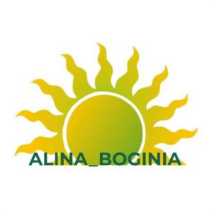 Товарный знак №941607, принадлежит ИП Ахметов Айрат Фанизович, ОГРНИП 319169000072152, ИНН 161102670046