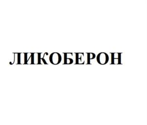 Товарный знак №941844, принадлежит ИП Шушура Игорь Игоревич, ОГРНИП 317505300055613, ИНН 504109722661