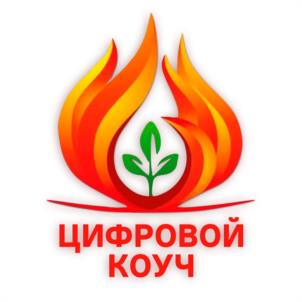 Товарный знак №942041, принадлежит ИП Роитблат Александр, ОГРНИП 319527500023497, ИНН 521476344678