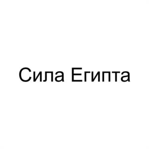 Товарный знак №942760, принадлежит организации Общество с ограниченной ответственностью «СтаврГрад», ОГРН 1152651026670, ИНН 2634094250