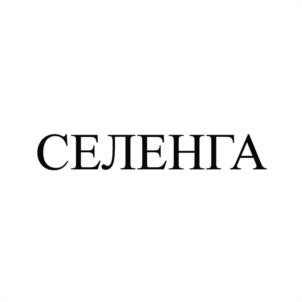 Товарный знак №944083, принадлежит организации Общество с ограниченной ответственностью "Сибатом", ОГРН 1113850029699, ИНН 3827038013