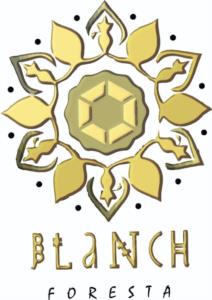 Товарный знак №944110, принадлежит организации Общество с ограниченной ответственностью "БЛАНШ", ОГРН 1215000008926, ИНН 5019030907