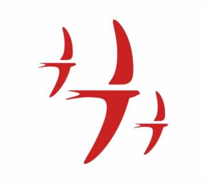 Товарный знак №944735, принадлежит организации Автономная некоммерческая организация Общественный клуб по реализации социально-ориентированных проектов микрорайона "Стрижи" г. Новосибирска, ОГРН 1165476097489, ИНН 5402018367