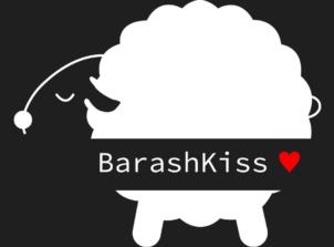 Товарный знак №945588, принадлежит организации Общество с ограниченной ответственностью "БАРАШКИСС", ОГРН 1227700408484, ИНН 9705173520