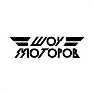 Товарный знак №946100, принадлежит организации Общество с ограниченной ответственностью «СПОРТ СИТИ», ОГРН 1137847499283, ИНН 7813578552