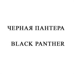 Товарный знак №947511, принадлежит правообладателю Канунников Юрий Иванович, ОГРН 0, ИНН 504792625158