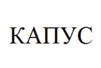 Товарный знак №948933, принадлежит ИП Капуста Игорь Николаевич, ОГРНИП 305770000080438, ИНН 773005658025