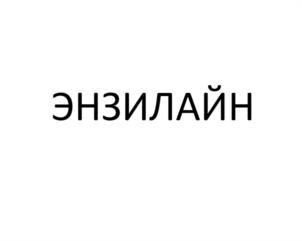 Товарный знак №949116, принадлежит организации Общество с ограниченной ответственностью "Научно-производственная фирма "ГЕНИКС", ОГРН 1021200755289, ИНН 1215001510
