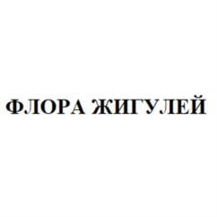 Товарный знак №949938, принадлежит организации Общество с ограниченной ответственностью с иностранными инвестициями Компания "Флора", ОГРН 1066320176977, ИНН 6322035954