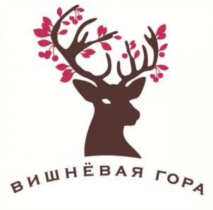 Товарный знак №951445, принадлежит организации Общество с ограниченной ответственностью "Гора Вишневая", ОГРН 1026402656290, ИНН 6452047453