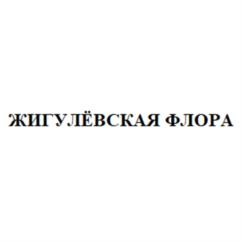 Товарный знак №951911, принадлежит организации Общество с ограниченной ответственностью с иностранными инвестициями Компания "Флора", ОГРН 1066320176977, ИНН 6322035954