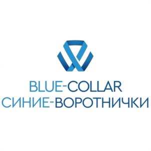 Товарный знак №952015, принадлежит организации Общество с ограниченной ответственностью "БЛЮ КОЛЛАР ВОРК", ОГРН 1217400007428, ИНН 7448231370