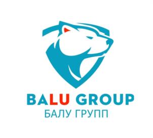 Товарный знак №952834, принадлежит организации Общество с ограниченной ответственностью «Балу групп», ОГРН 1215000125889, ИНН 5031143696