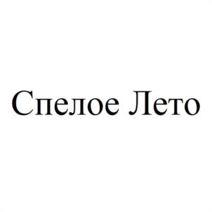 Товарный знак №952923, принадлежит организации Общество с ограниченной ответственностью "КОНДЕНСО", ОГРН 1113668034886, ИНН 3662167984