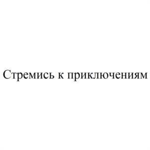 Товарный знак №953115, принадлежит организации Общество с ограниченной ответственностью "ДАП ЭКСТРИМ", ОГРН 1236100000795, ИНН 6167204771