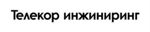 Товарный знак №953535, принадлежит организации Общество с ограниченной ответственностью "Телекор Инжиниринг", ОГРН 1237700083477, ИНН 7708414763