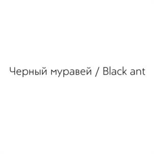 Товарный знак №954107, принадлежит организации Общество с ограниченной ответственностью "Черный муравей", ОГРН 1165275056187, ИНН 5247054209