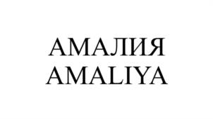 Товарный знак №954201, принадлежит ИП Есаян Виталий Иванович, ОГРНИП 304263536200099, ИНН 261503774655