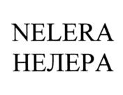 Товарный знак №954641, принадлежит организации Общество с ограниченной ответственностью "ПРЕМИУМ МИКС", ОГРН 1214000001874, ИНН 4025457967