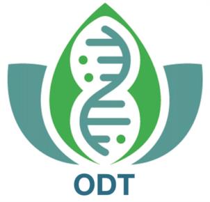 Товарный знак №954843, принадлежит организации Общество с ограниченной ответственностью «ОД-Тест», ОГРН 1207700078530, ИНН 7730256304