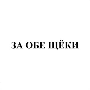 Товарный знак №956508, принадлежит организации Общество с ограниченной ответственностью "Саратов-Холод Плюс", ОГРН 1086453002085, ИНН 6453098860