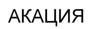 Товарный знак №957696, принадлежит ИП Савельев Владислав Иванович, ОГРНИП 320547600113531, ИНН 540123666336
