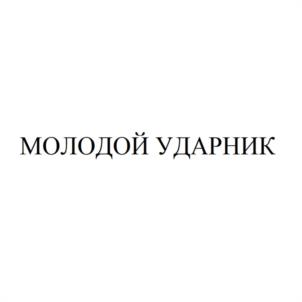 Товарный знак №959018, принадлежит организации Общество с ограниченной ответственностью "АДАМАНТ СПБ", ОГРН 1147847285816, ИНН 7806531377