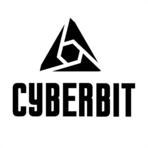 Товарный знак №959331, принадлежит организации Общество с ограниченной ответственностью «БИЗНЕС АЙТИ», ОГРН 1125263003238, ИНН 5263092184