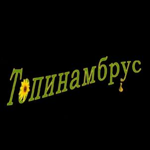 Товарный знак №959480, принадлежит организации Общество с ограниченной ответственностью "ТЕРРА", ОГРН 1025005326906, ИНН 5042066122