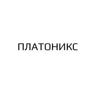 Товарный знак №960056, принадлежит организации Общество с ограниченной ответственностью "ПЛАТОНИКС", ОГРН 1227700714405, ИНН 9705181835