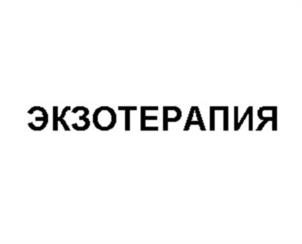 Товарный знак №960092, принадлежит организации Общества с ограниченной ответственностью "Экзо Групп", ОГРН 1236300003356, ИНН 6320073224