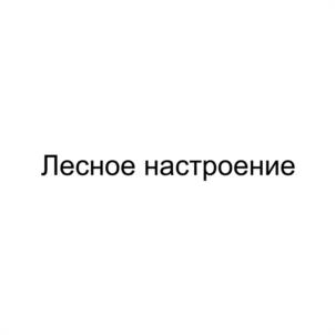 Товарный знак №961389, принадлежит организации Общество с ограниченной ответственности «Центр спортивного туризма Рускеала», ОГРН 1131035001239, ИНН 1007022823